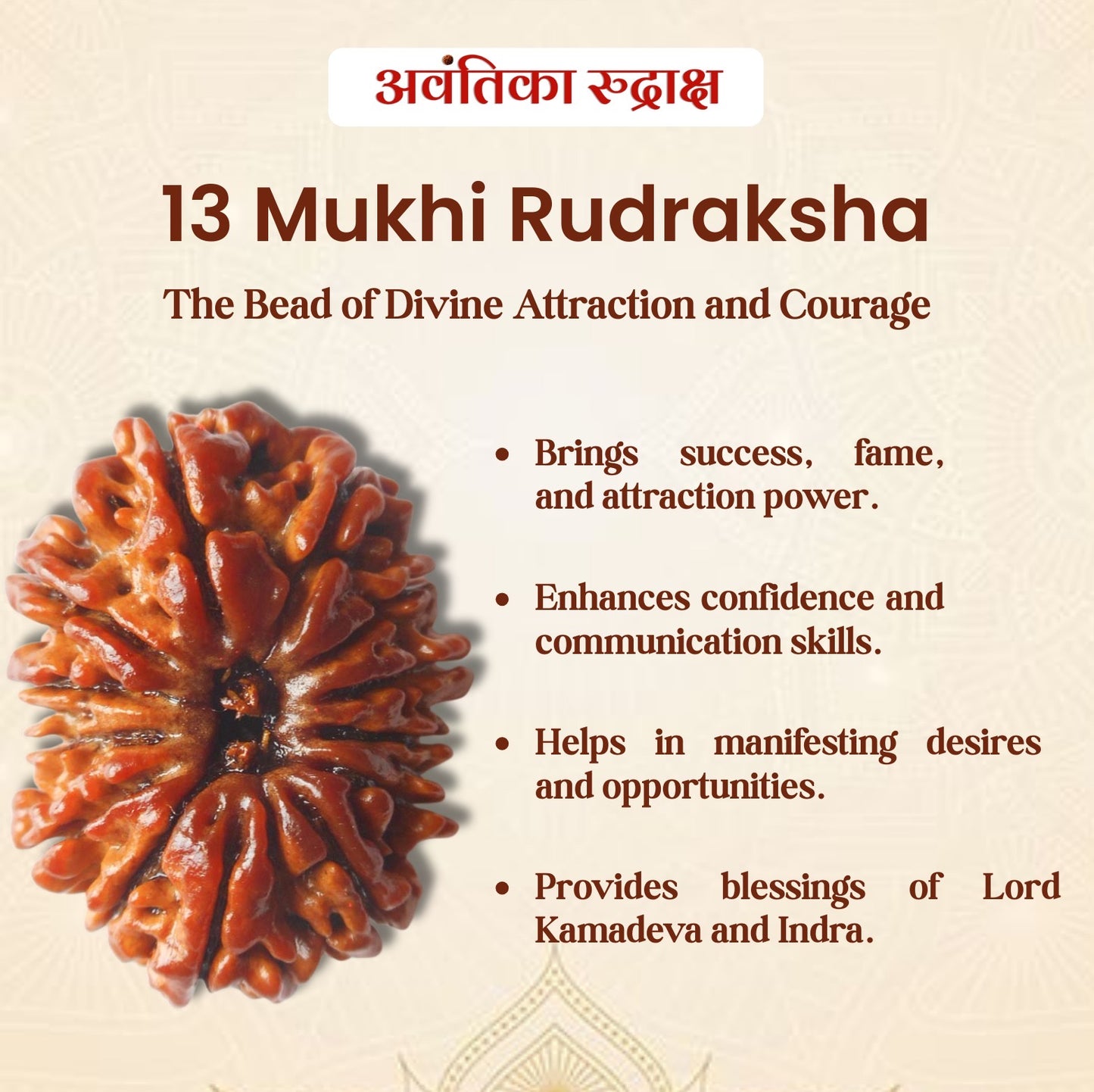 13 Mukhi Rudraksha (Thirteen Faced Rudraksha)