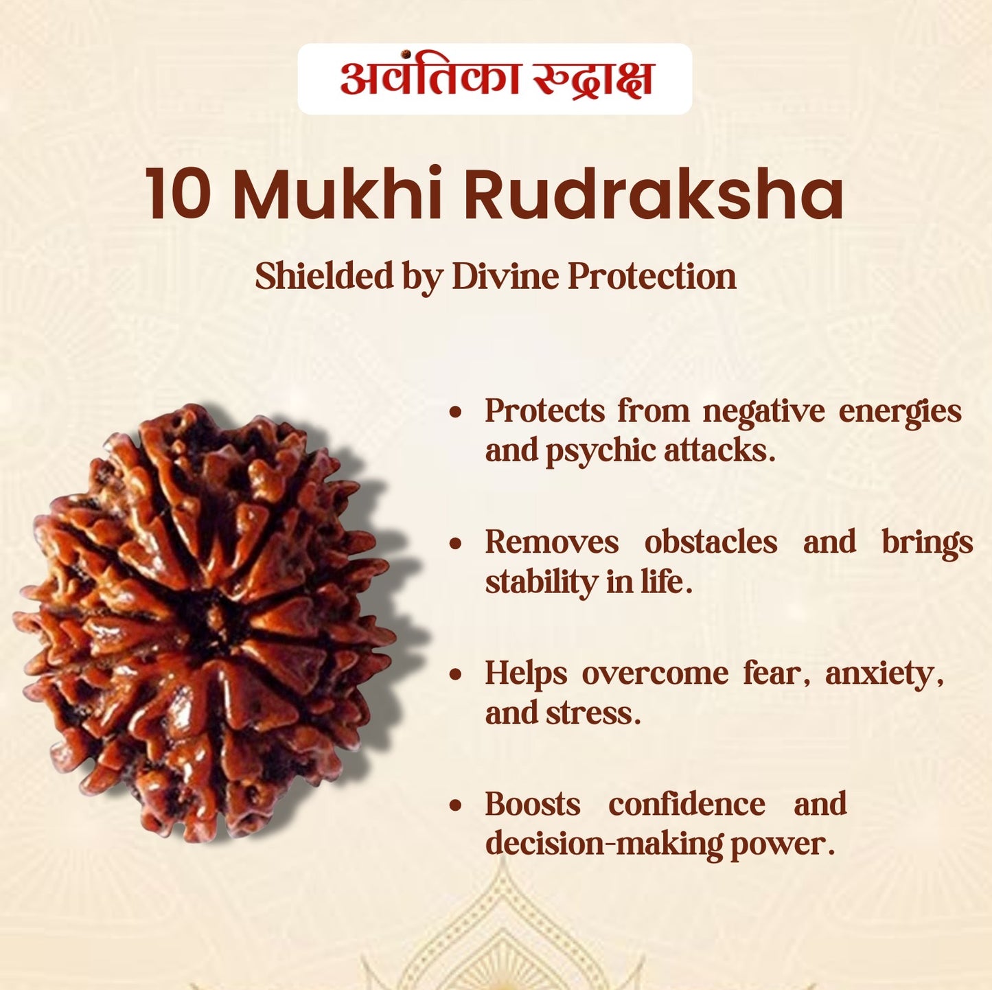 🔱 10 Mukhi Rudraksha (Ten Faced Rudraksha)