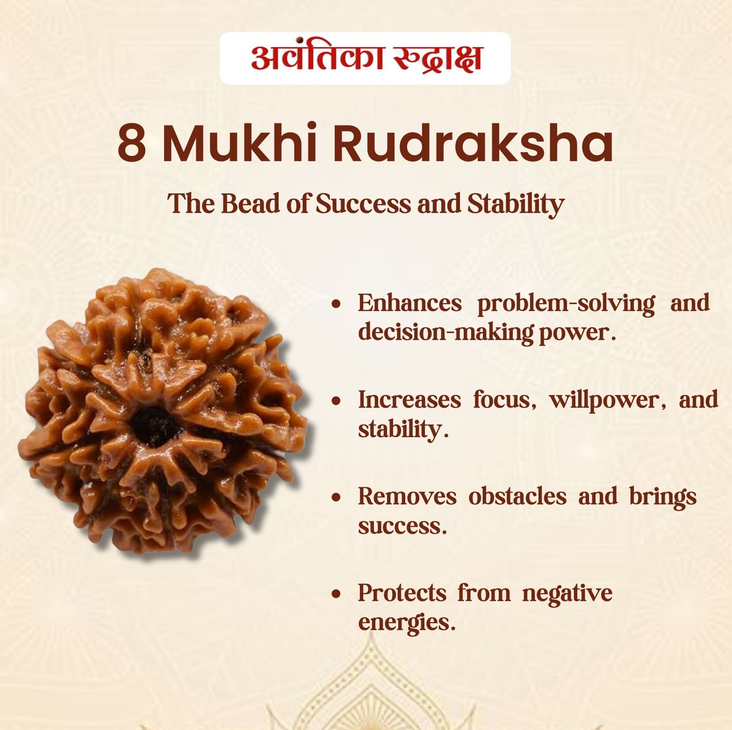 🔱 8 Mukhi Nepali Rudraksha (Eight Faced Rudraksha)
