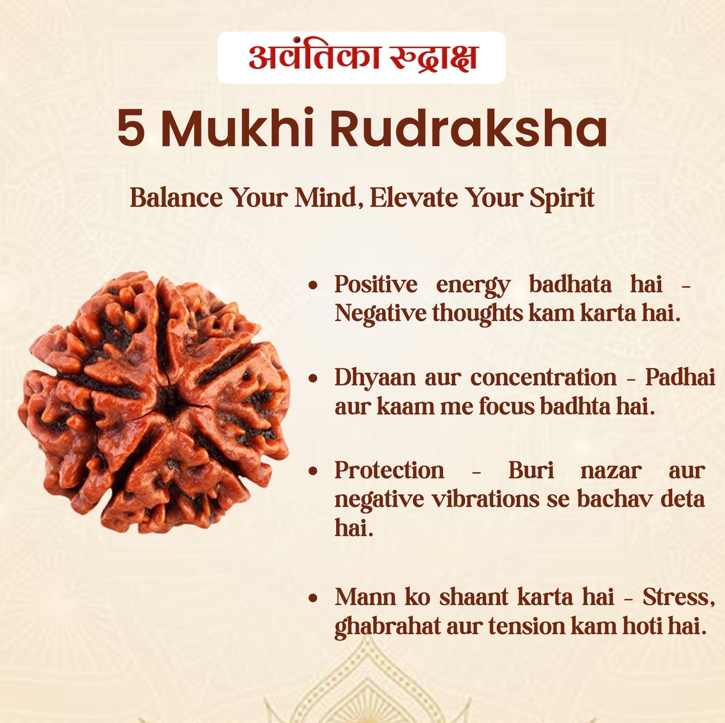 5 Mukhi Rudraksha (Five Faced Rudraksha)