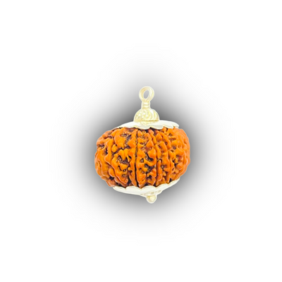 Rudraksha