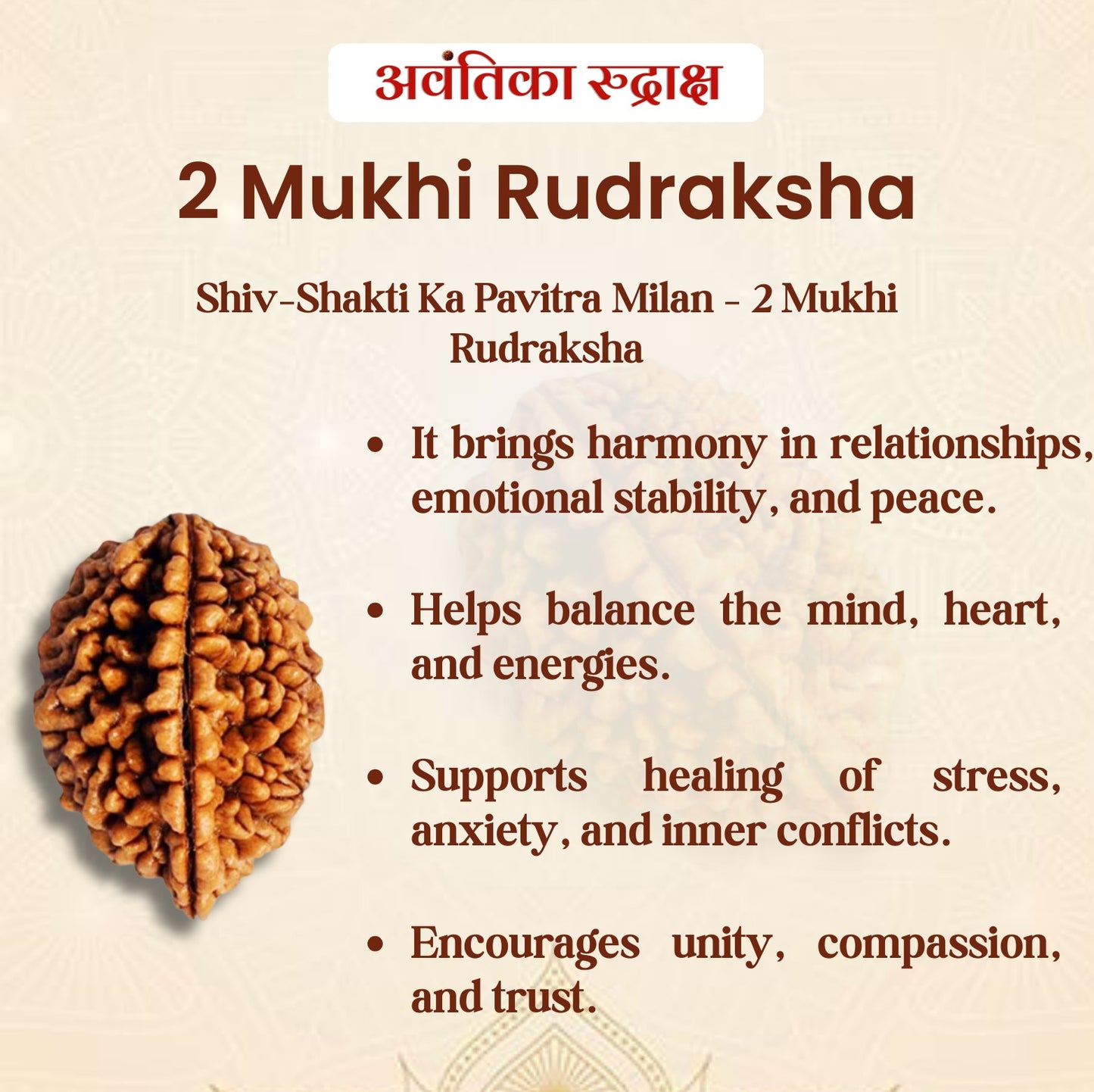 2 Mukhi Rudraksha (Do Mukhi Rudraksha)