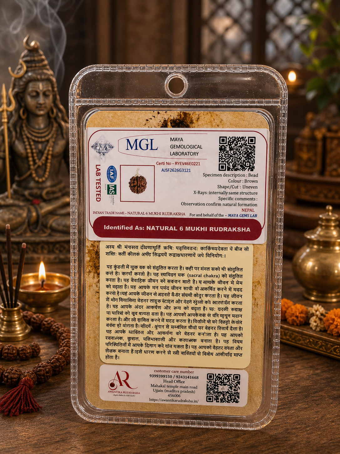 🔱 6 Mukhi Rudraksha (Six Faced Rudraksha)