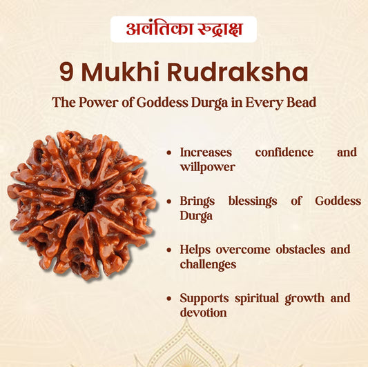 9 Mukhi Rudraksha (Nine Faced Rudraksha)
