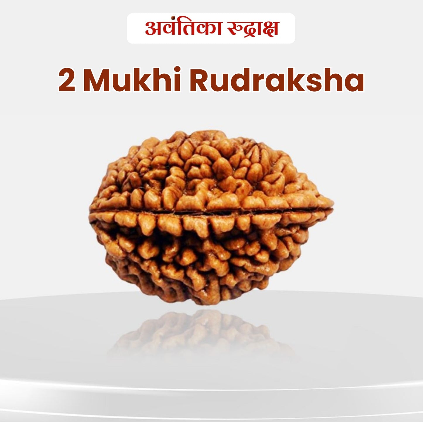 2 Mukhi Rudraksha (Do Mukhi Rudraksha)