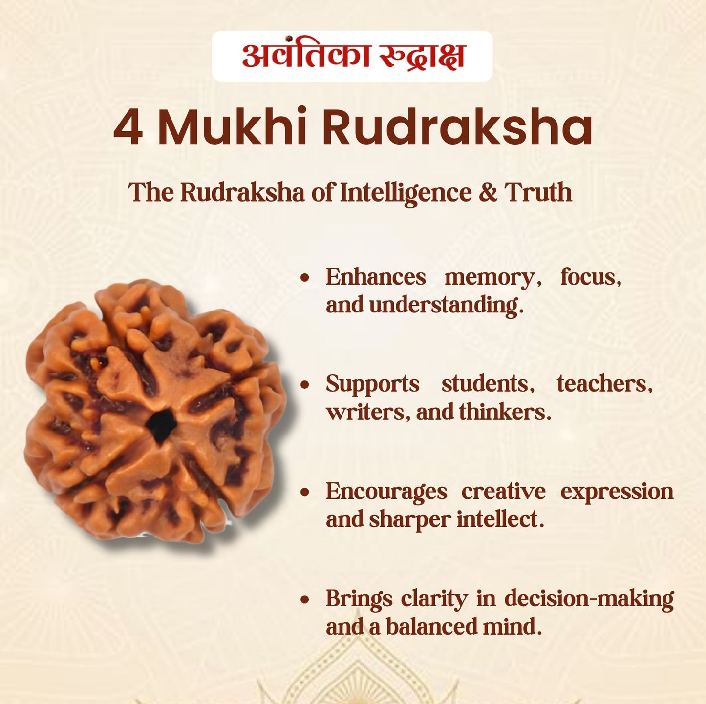 4 Mukhi Rudraksha (चार मुखी रुद्राक्ष)