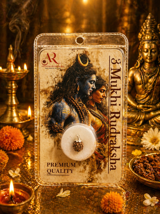 3 Mukhi Rudraksha (Three Faced Rudraksha) – Original & Energized