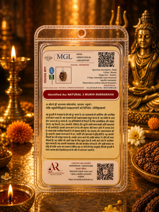 3 Mukhi Rudraksha (Three Faced Rudraksha) – Original & Energized