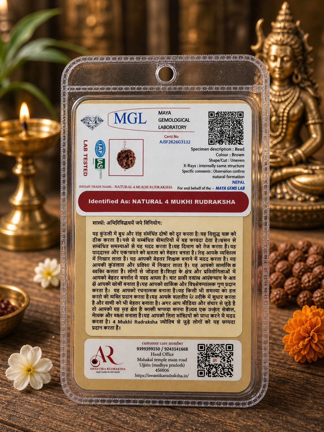4 Mukhi Rudraksha (चार मुखी रुद्राक्ष)